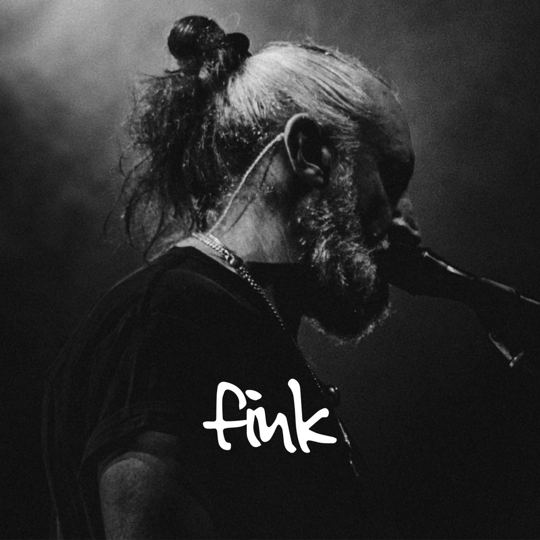 Fink 1