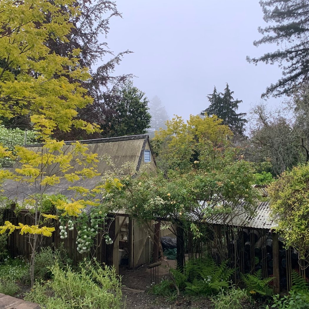 Western Hills Garden Public Events 3