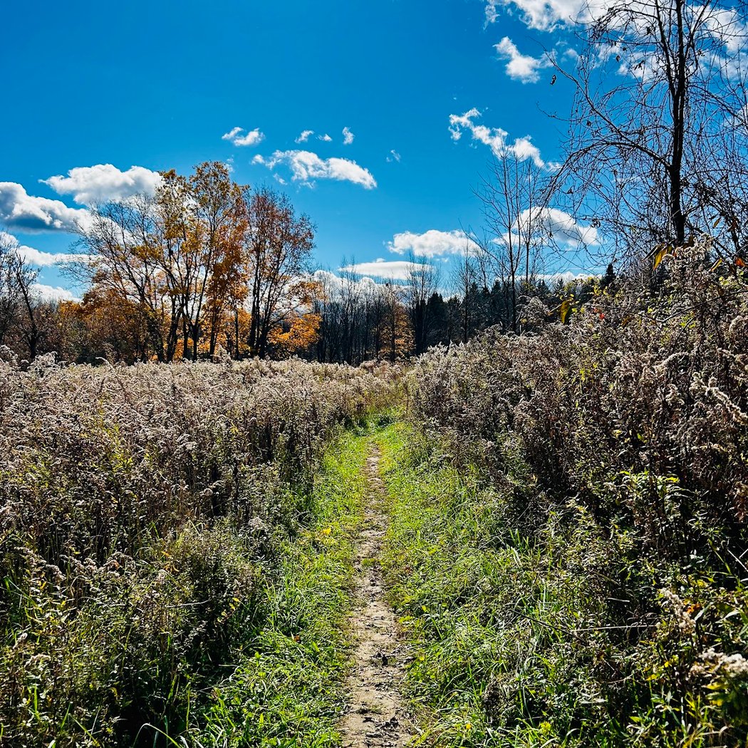 Baltimore Woods Nature Center 1