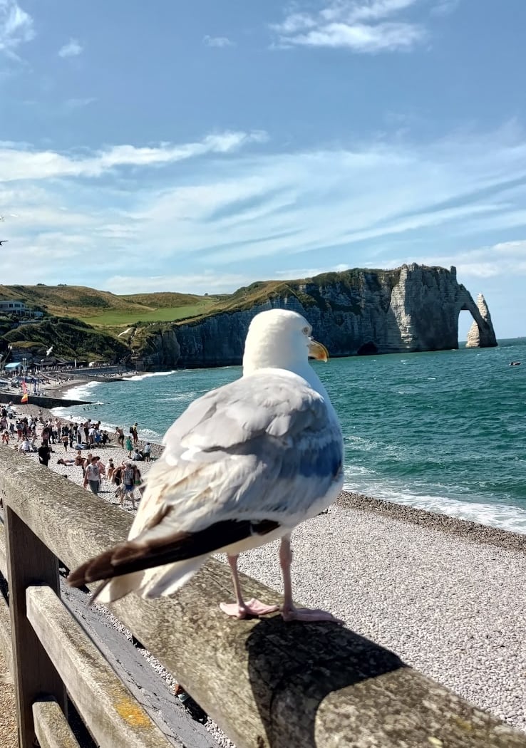 Étretat Promenade 3