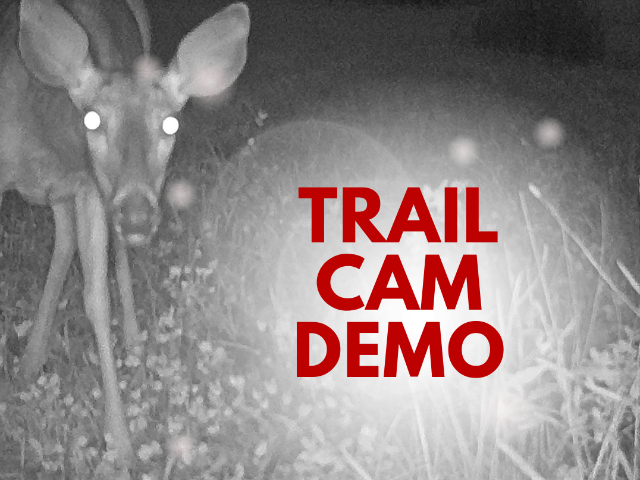 Trail Cam Demo 1