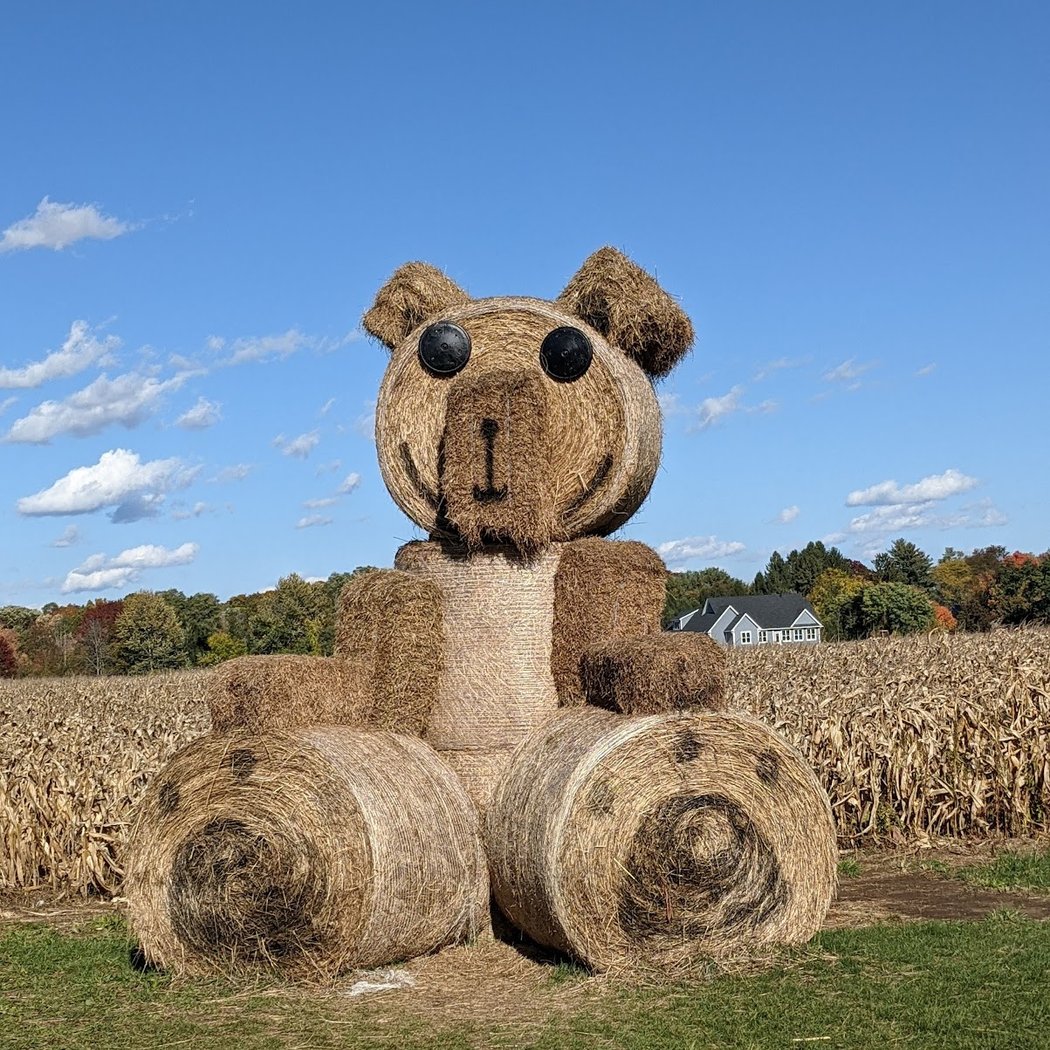 Kesicke Farm 1