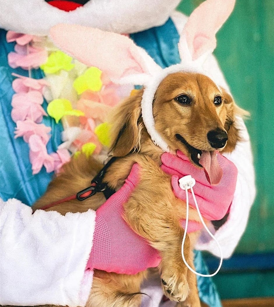 Palm House's Annual Peeps and Pups Easter Brunch 1