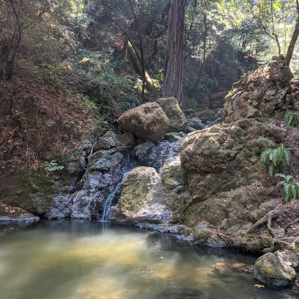 Gary Giacomini Open Space Preserve 3