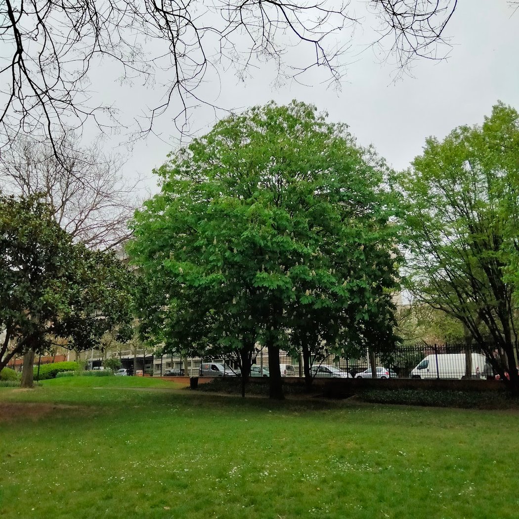Parc des Bruyères 3