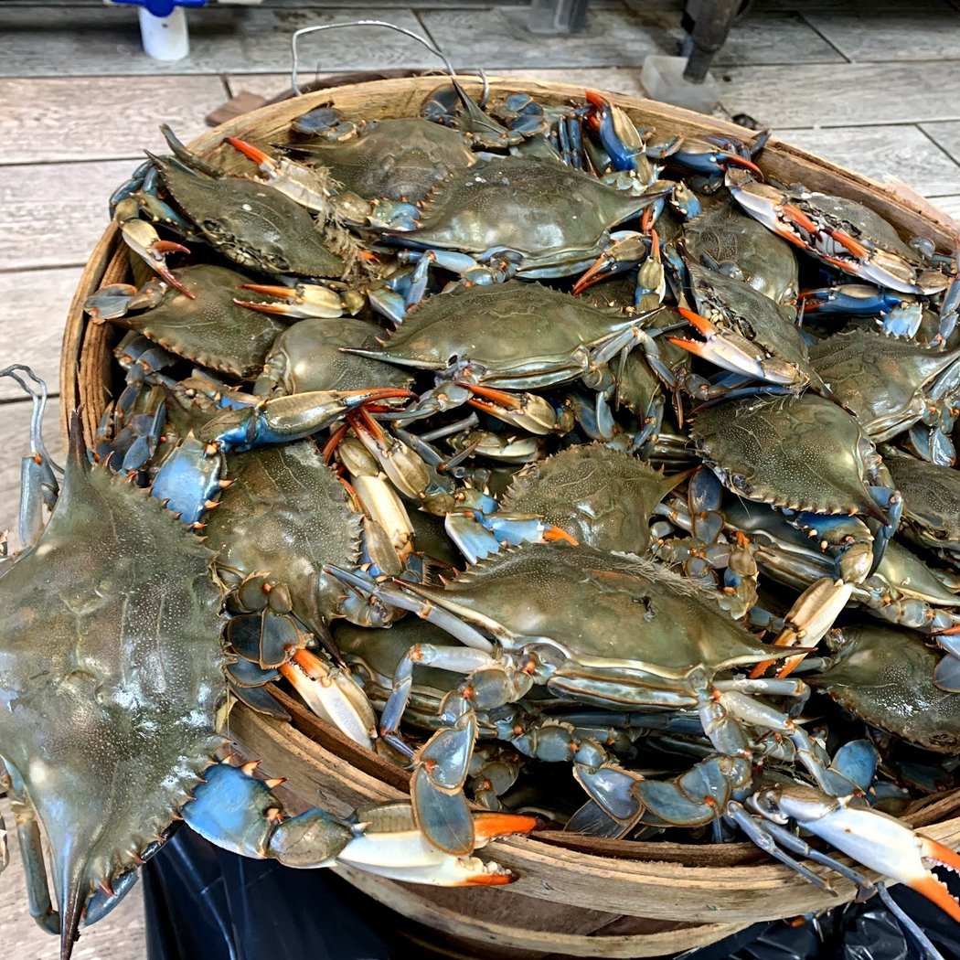 Jamaica Fish Market 3