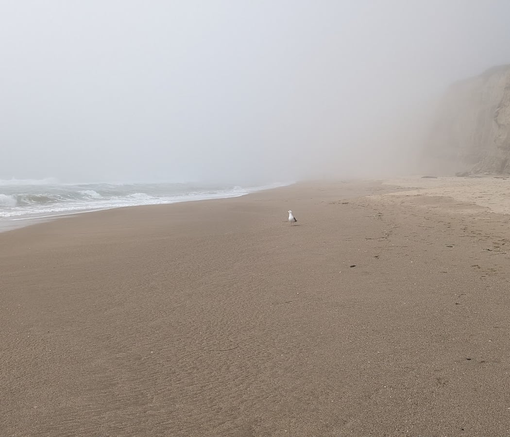 San Mateo Coast State Beaches 2
