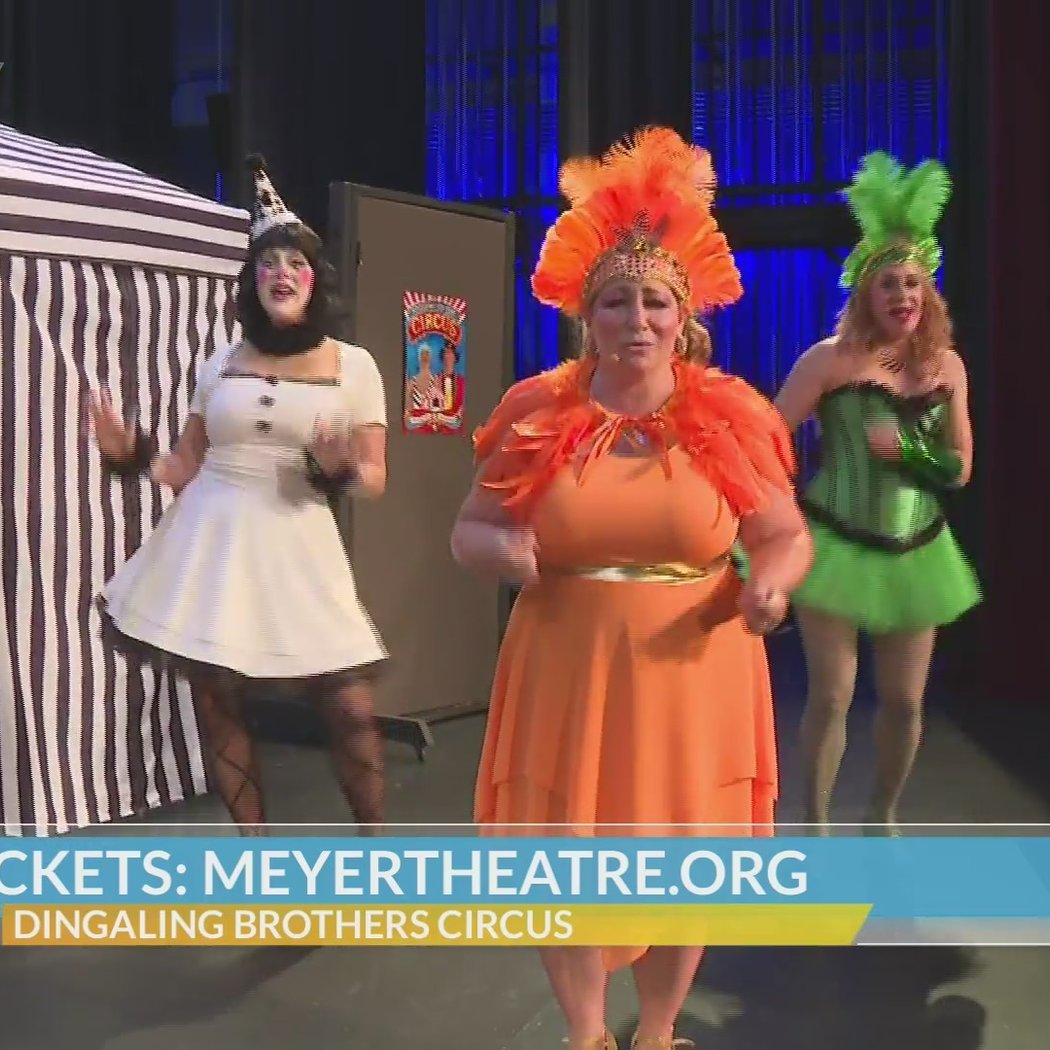 The Dingaling Brothers Circus 1