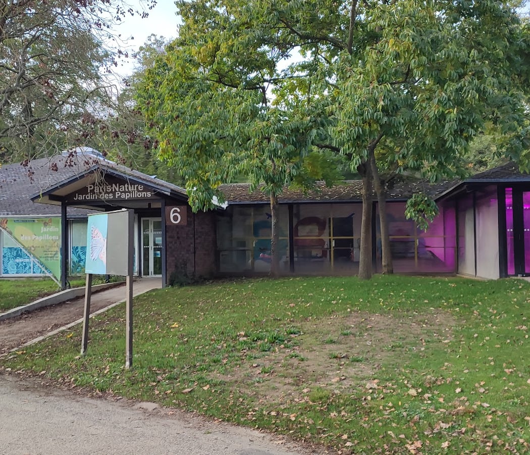Atelier découverte des oiseaux du bois de Vincennes 3