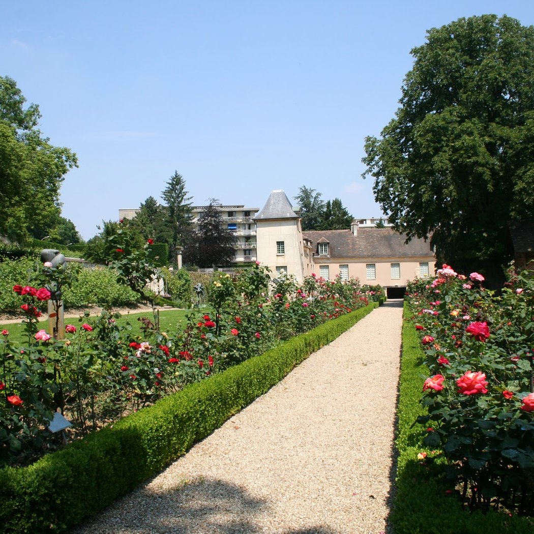 Promenade ornithologique dans le jardin du Musée 1