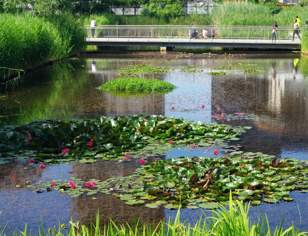Parc Clichy-Batignolles - Martin Luther King 1