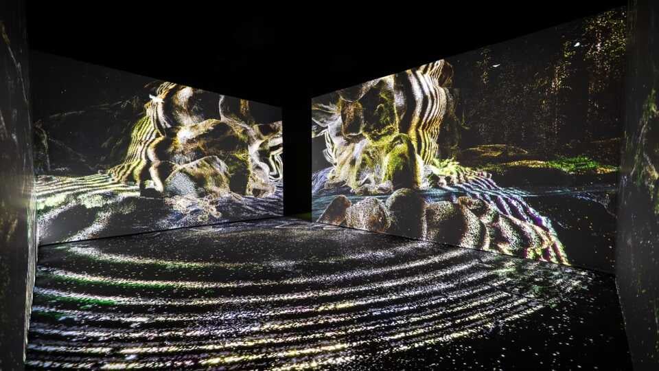 Vivid: Immerse Your Senses 2