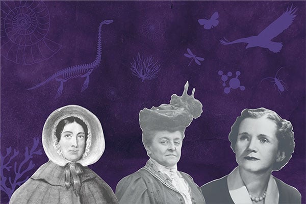 Les femmes de sciences 1