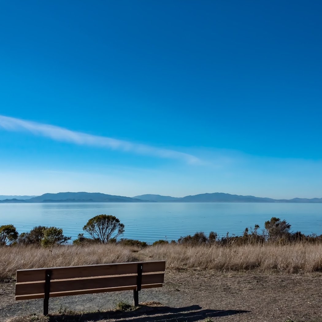 San Francisco Bay Trail 1
