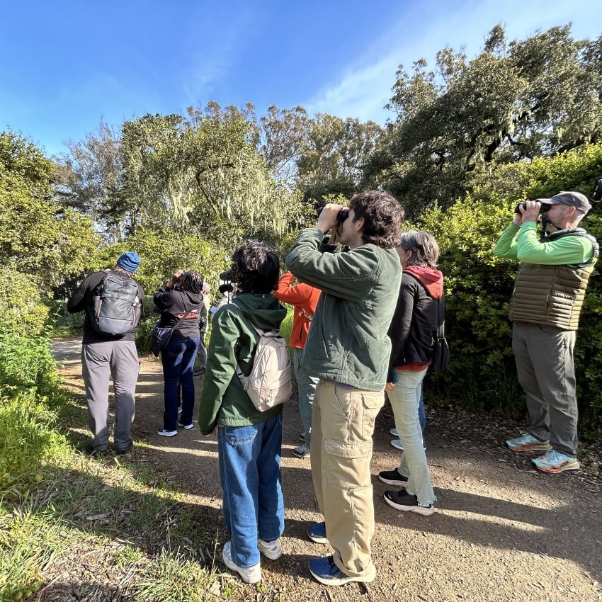Bird Curious: Birding in the Garden 1