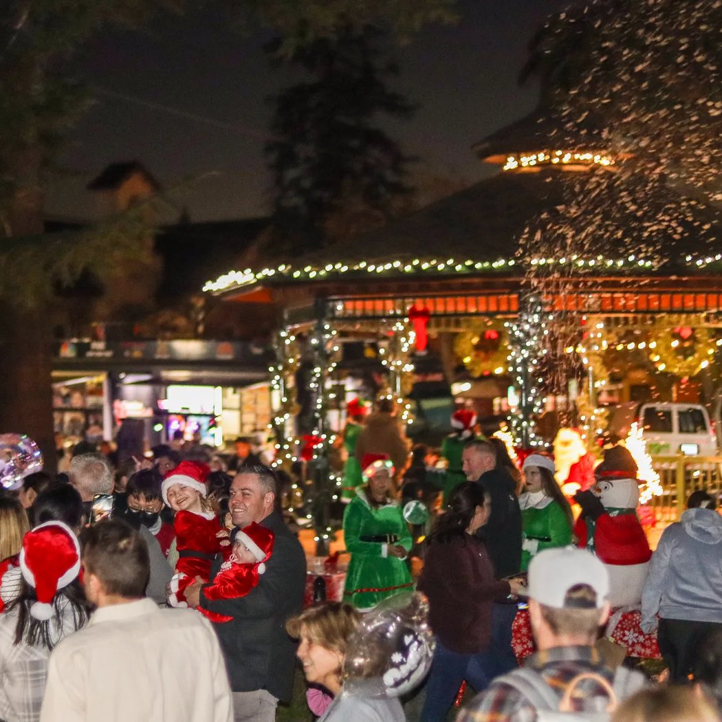 Holiday Village in the Park 1