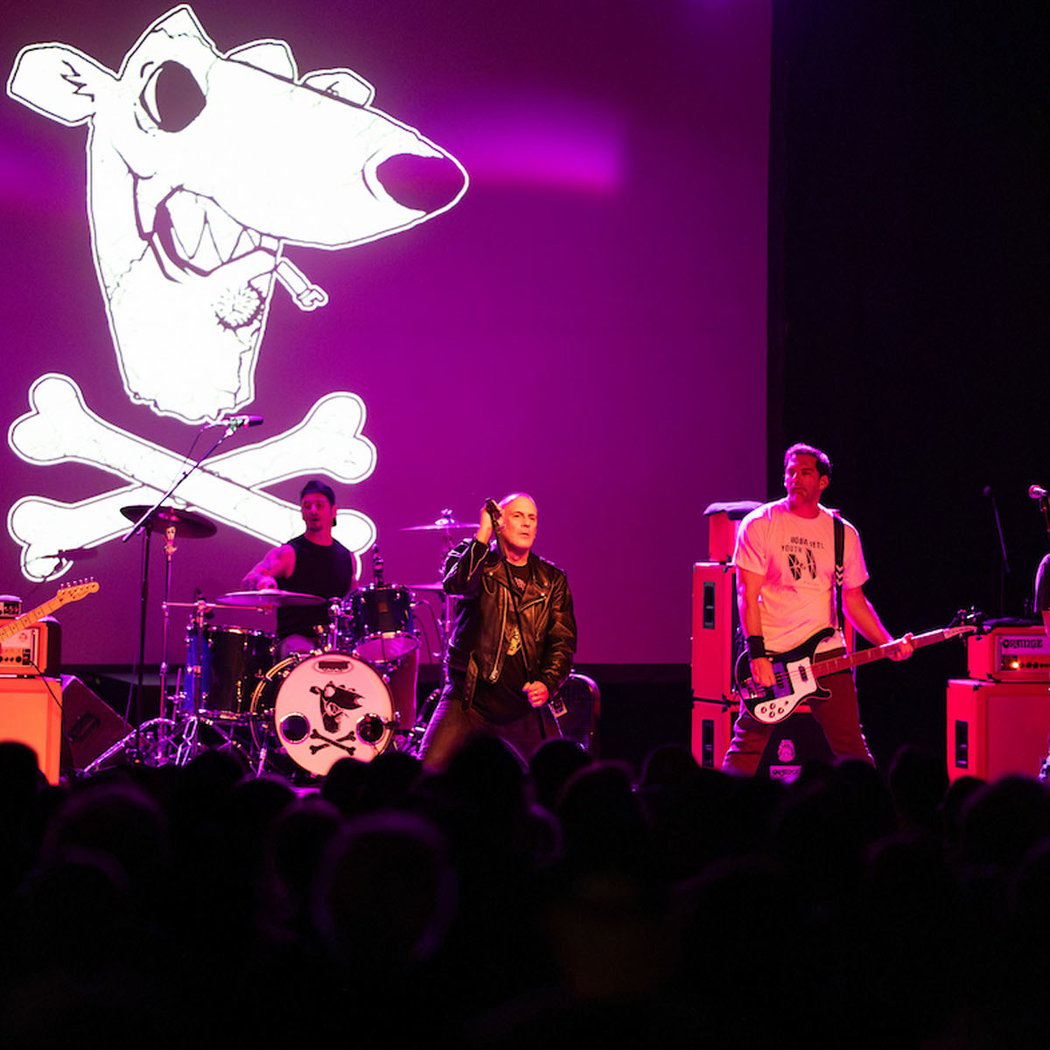 Screeching Weasel 1
