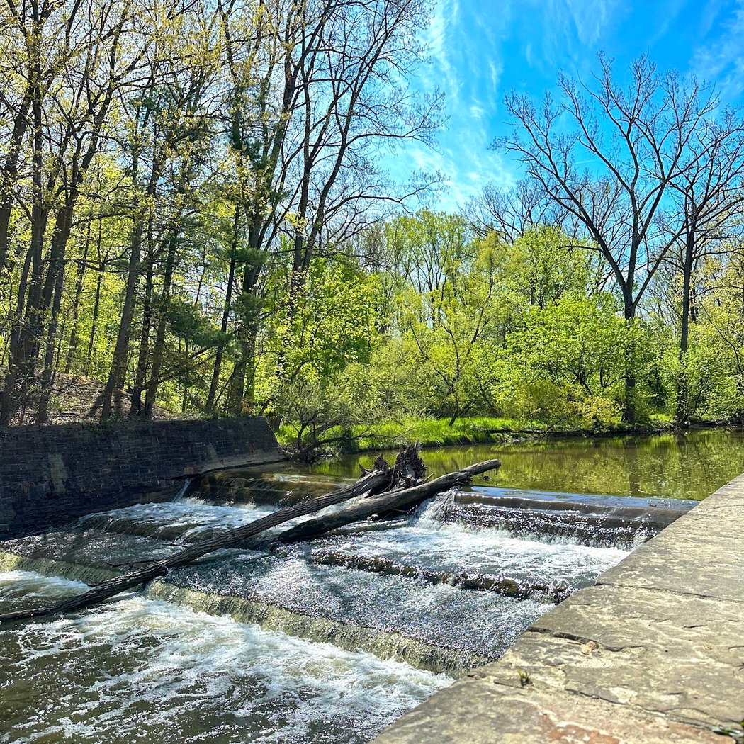 Little Carolina Trail Fest 1