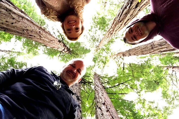 San Francisco & Muir Woods Full Day Small Group Private Tour 2