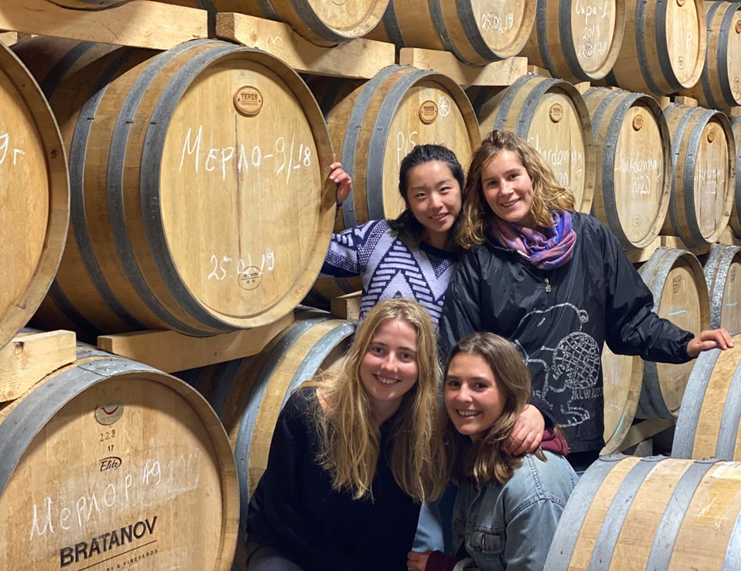 Into the Wine 2