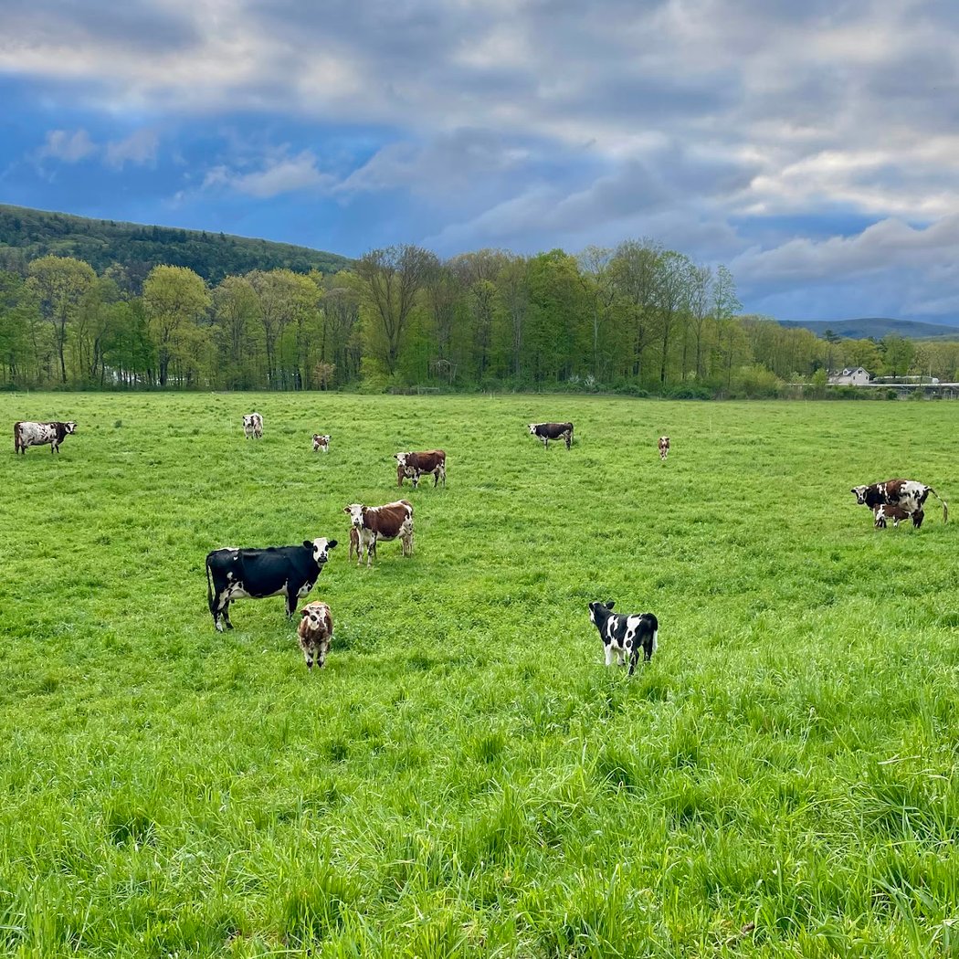 North Plain Farm 3
