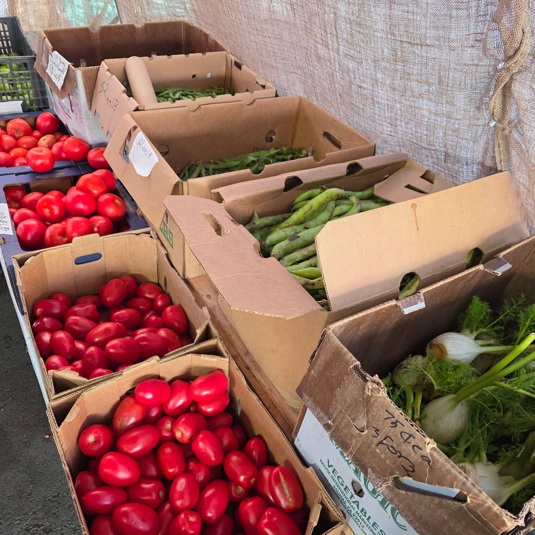 Jamal farm and produce 3