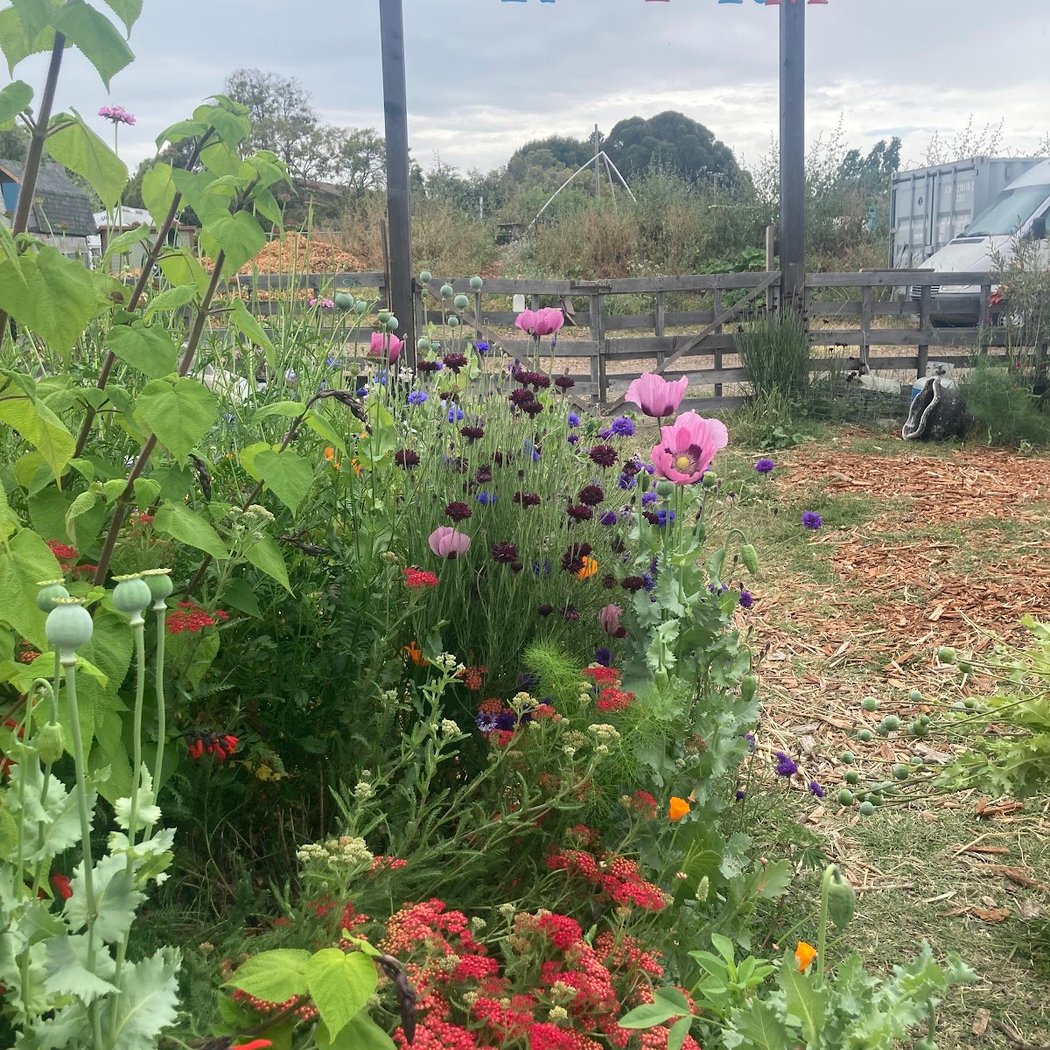Planting for Pollinators: Matching Pollinators to their Plants 1