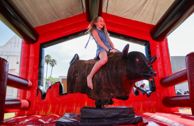 Country Family Fair