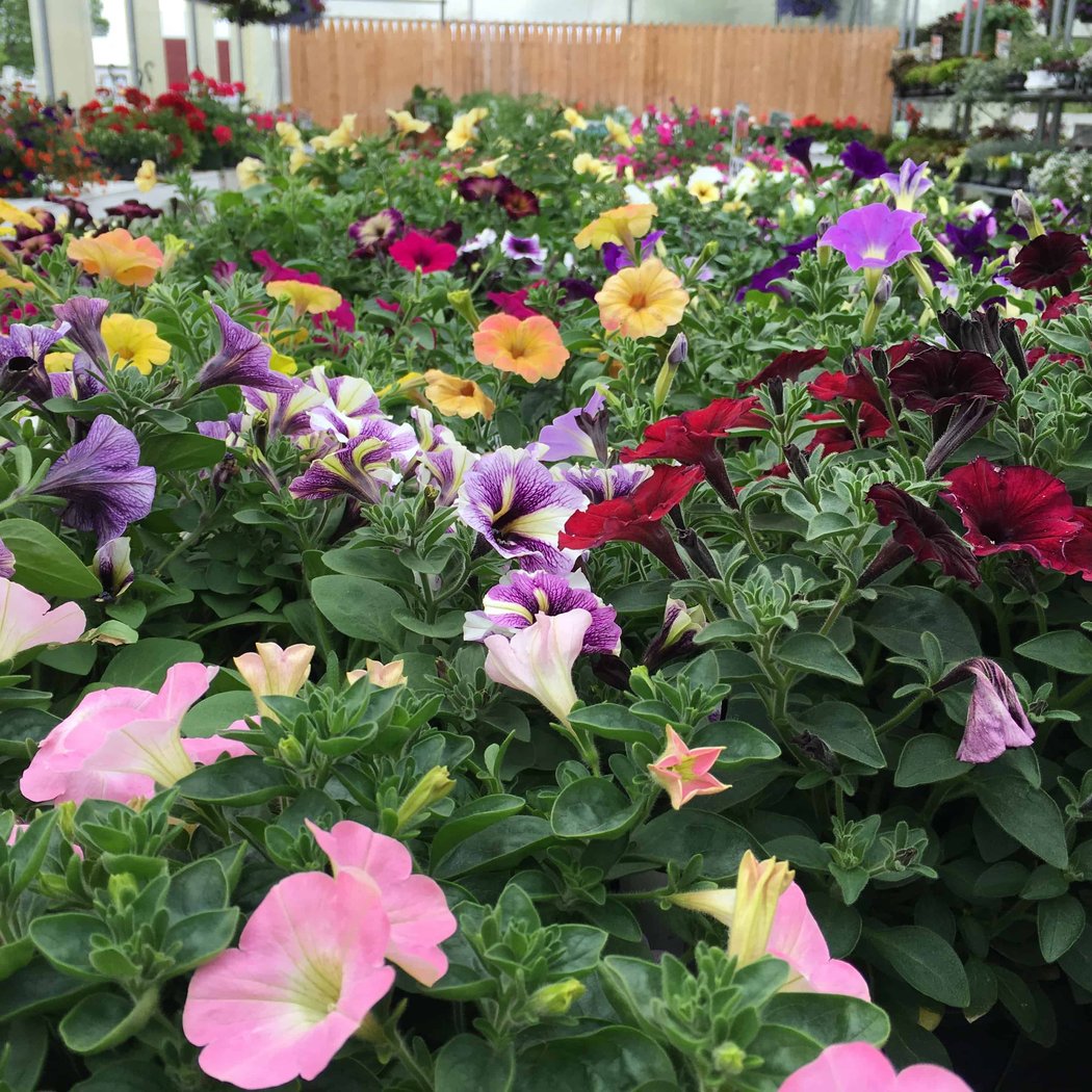 Keller’s Farmstand 2
