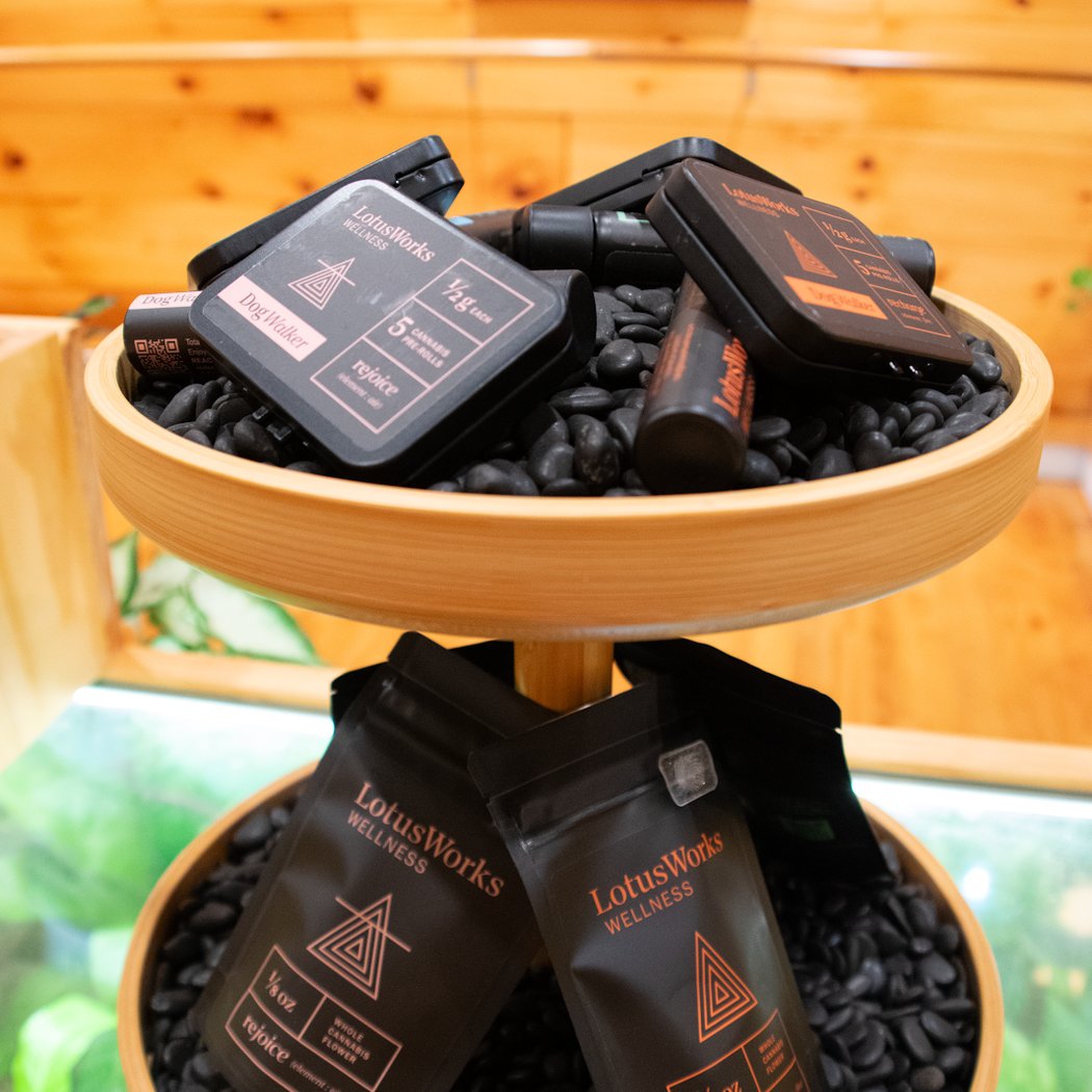 LotusWorks Wellness 3