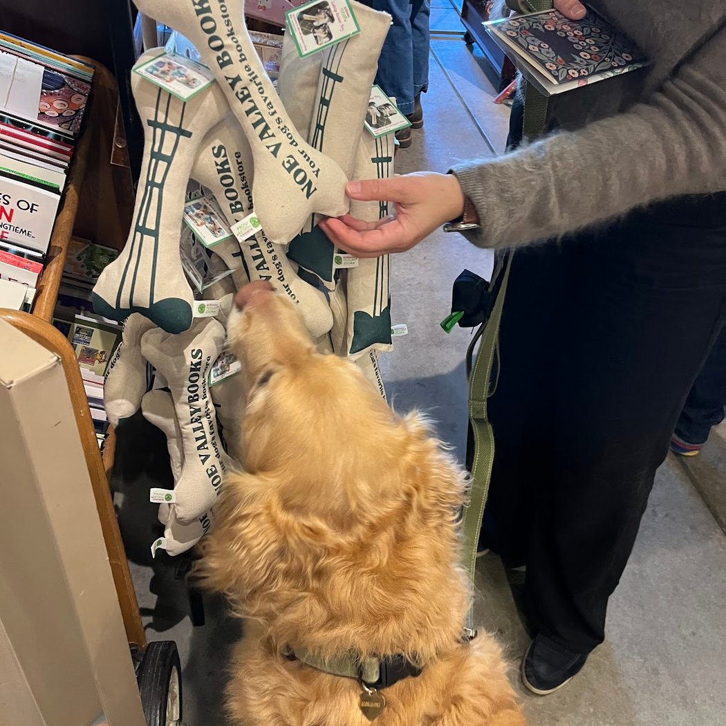 Independent Bookstore Day 1