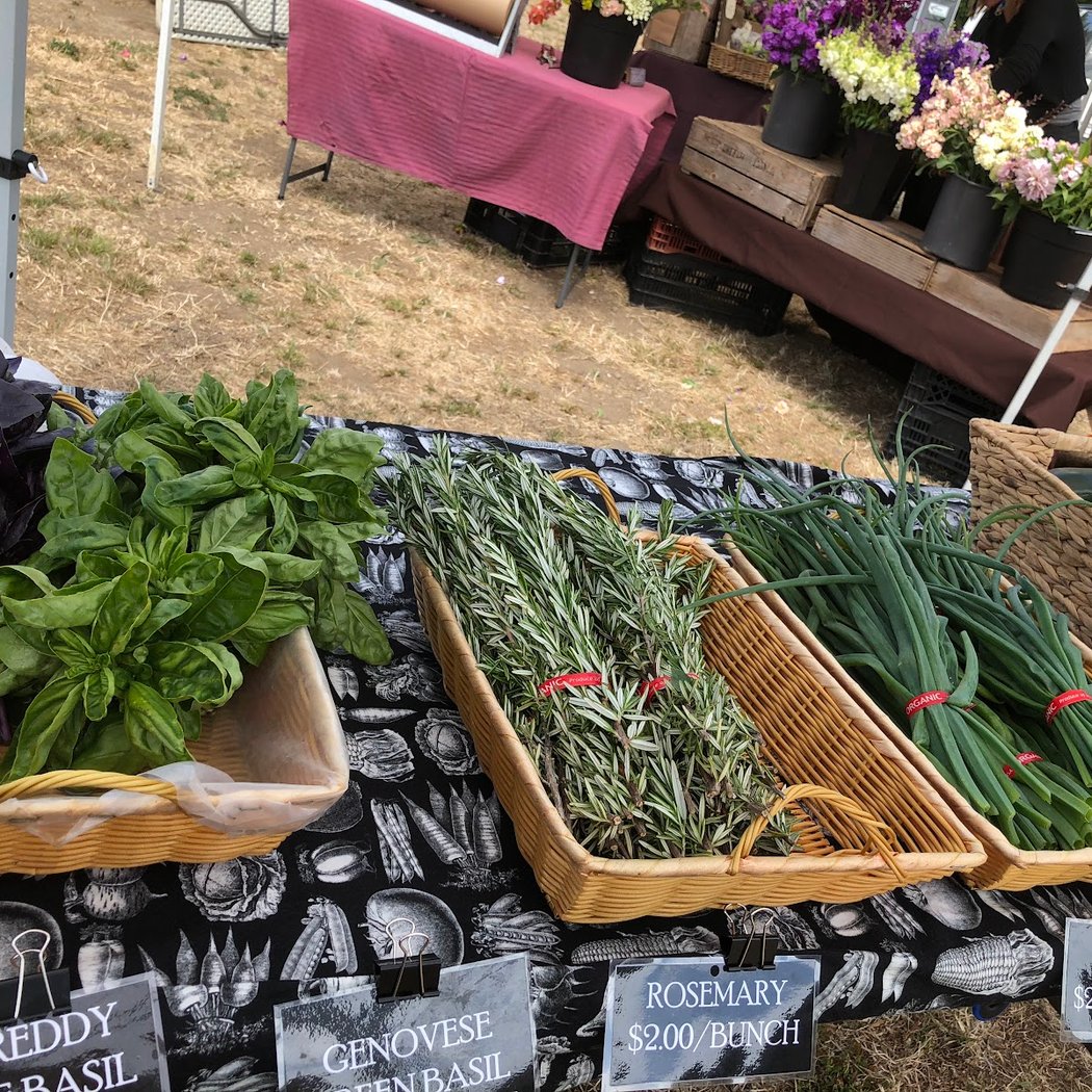 Pescadero Grown Community Farmers' Market 3