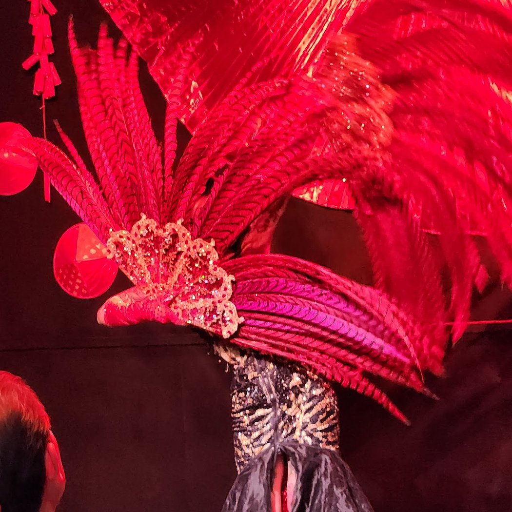 Showgirl Magic Museum 2