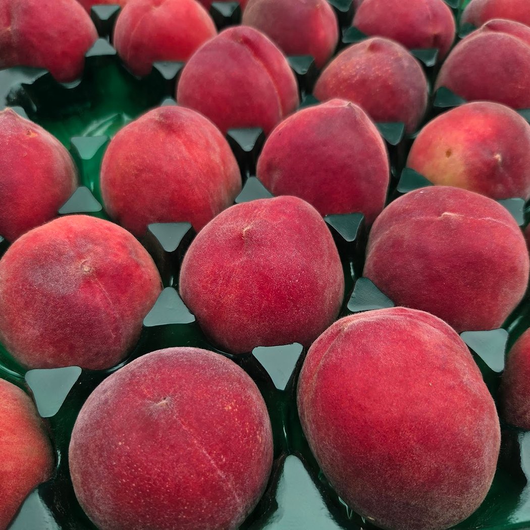 Healdsburg Farmers Market 3