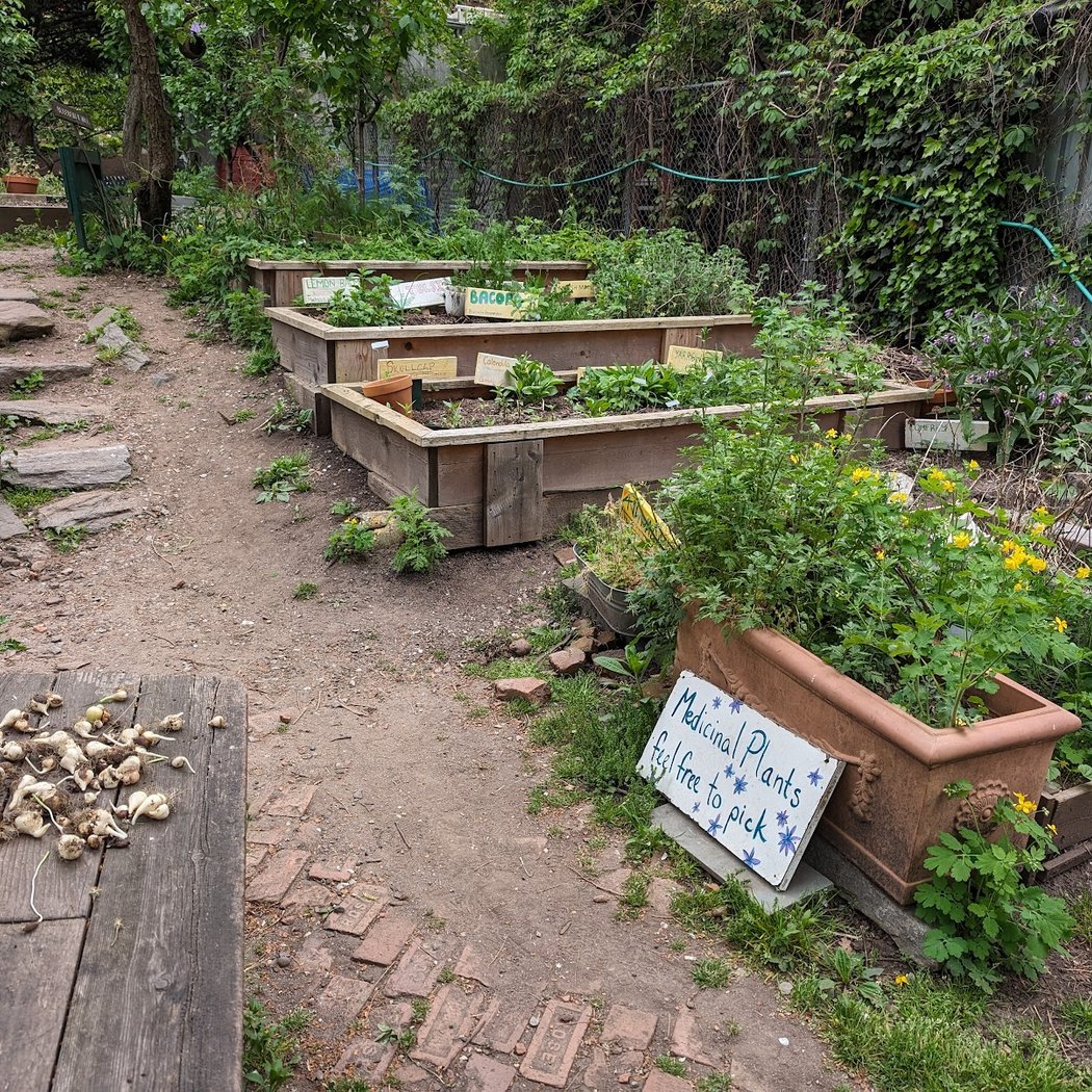 Climate Week Medicinal Garden Workshop
