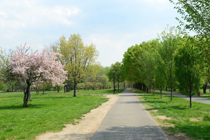 Soundview Park 1