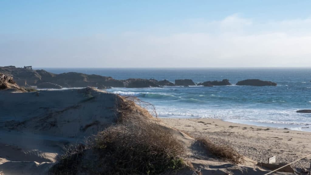Pescadero State Beach 2
