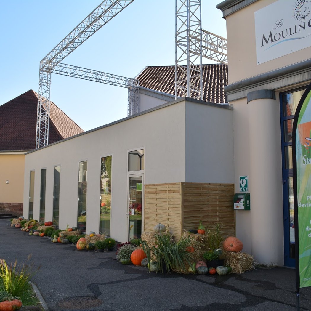 La Bajon 4