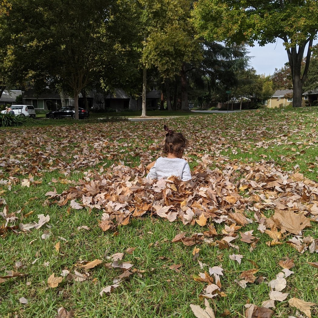 Roy Avenue Park 1