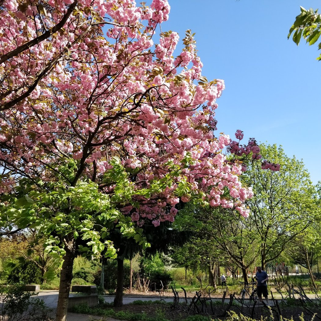 Ernst-Thälmann-Park 3