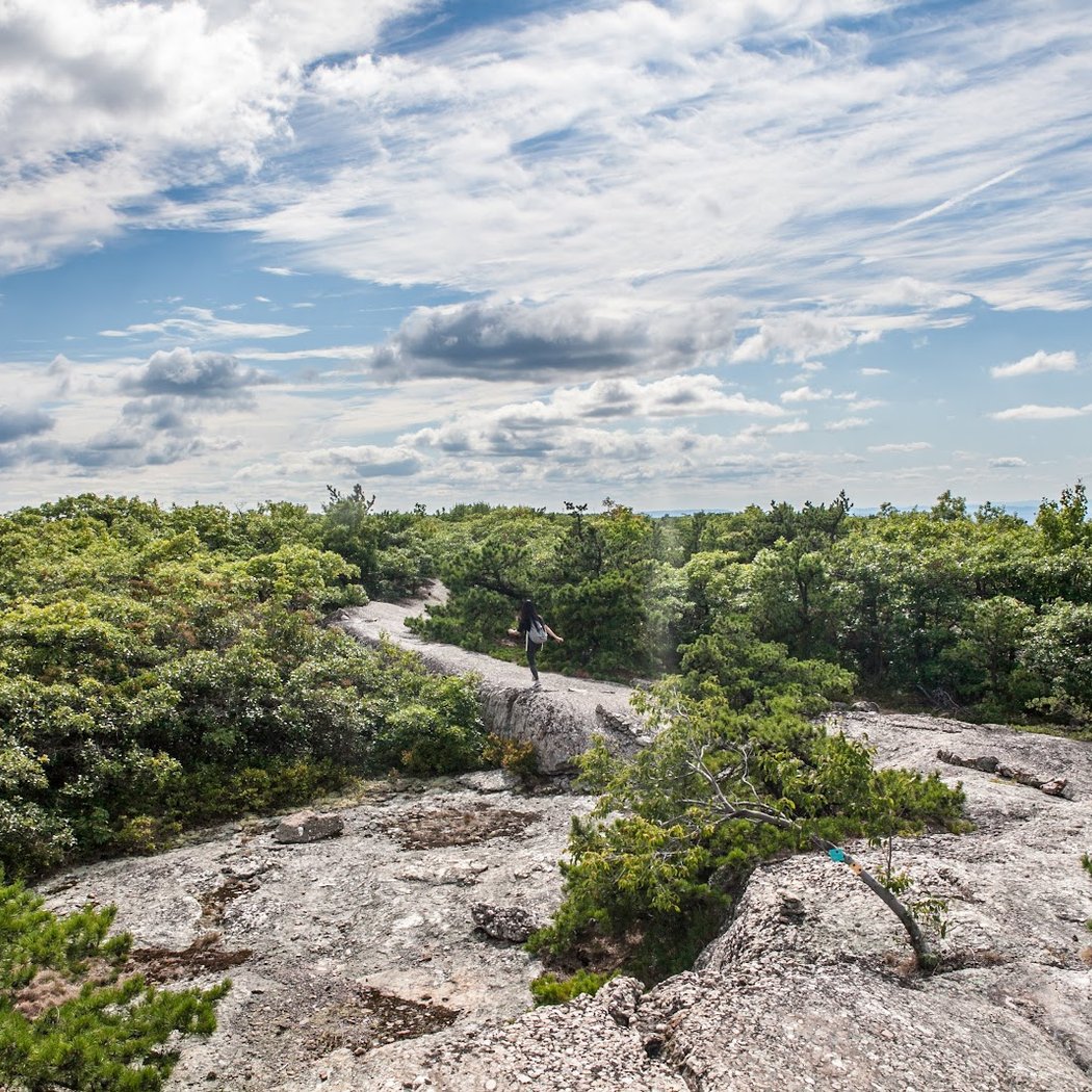 Schunnemunk State Park 1