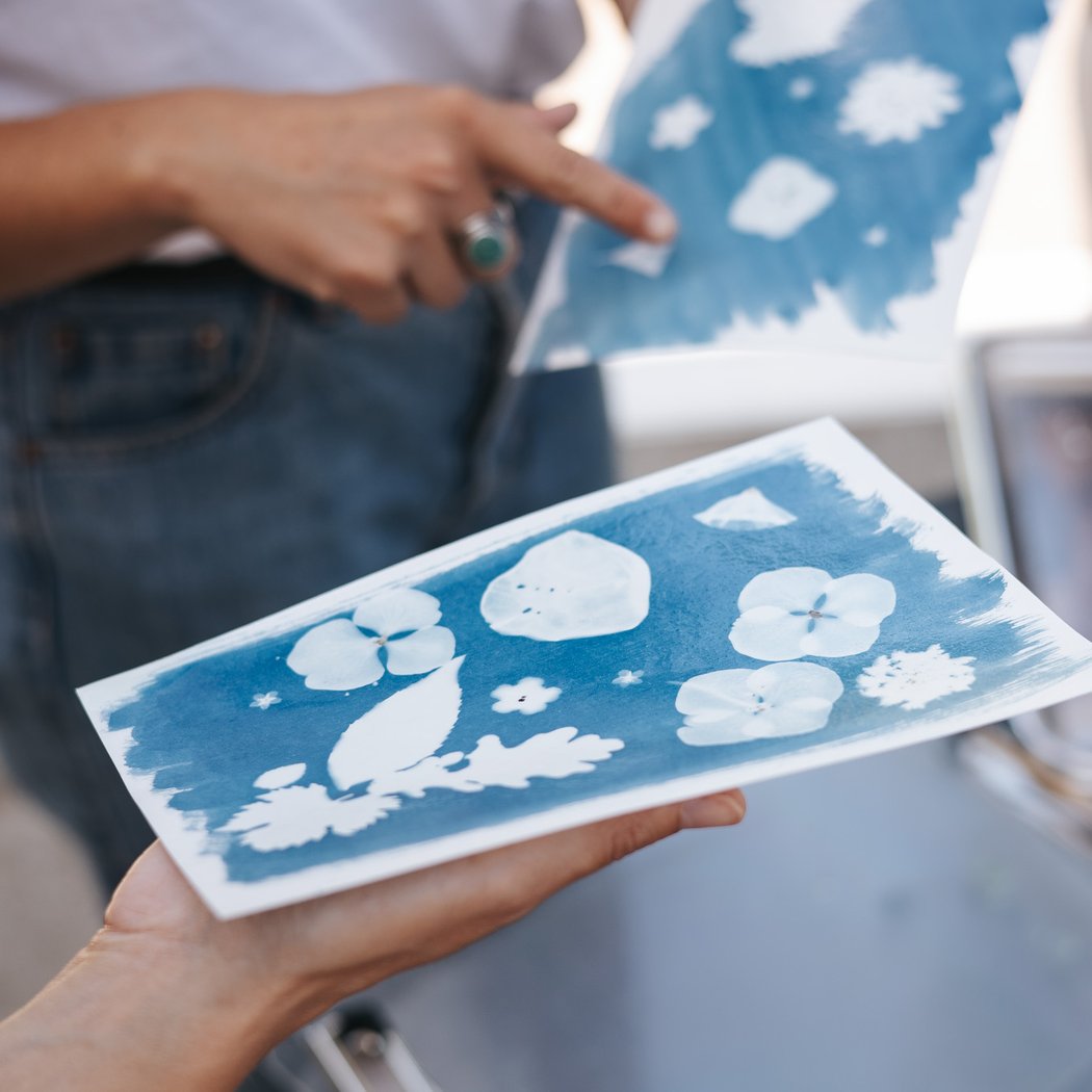 L'herbier en cyanotype