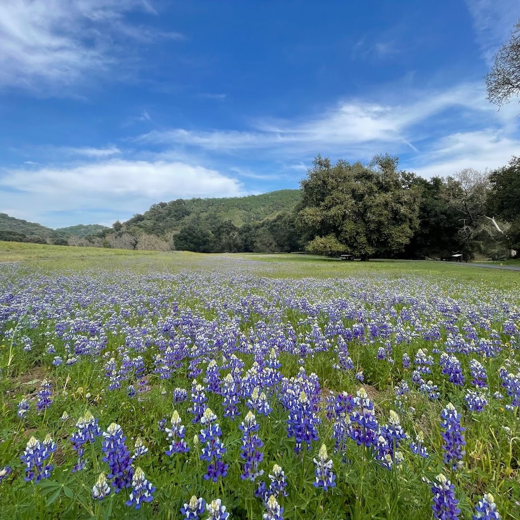 Rancho Cañada del Oro Open Space Preserve 1