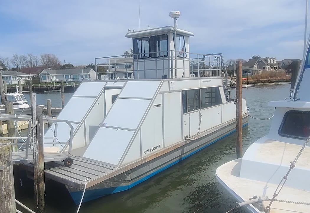CRESLI Seal Cruises 1