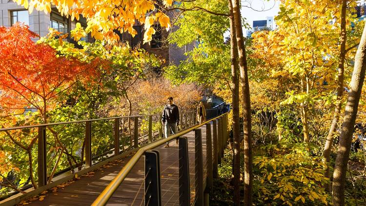 High Line 1
