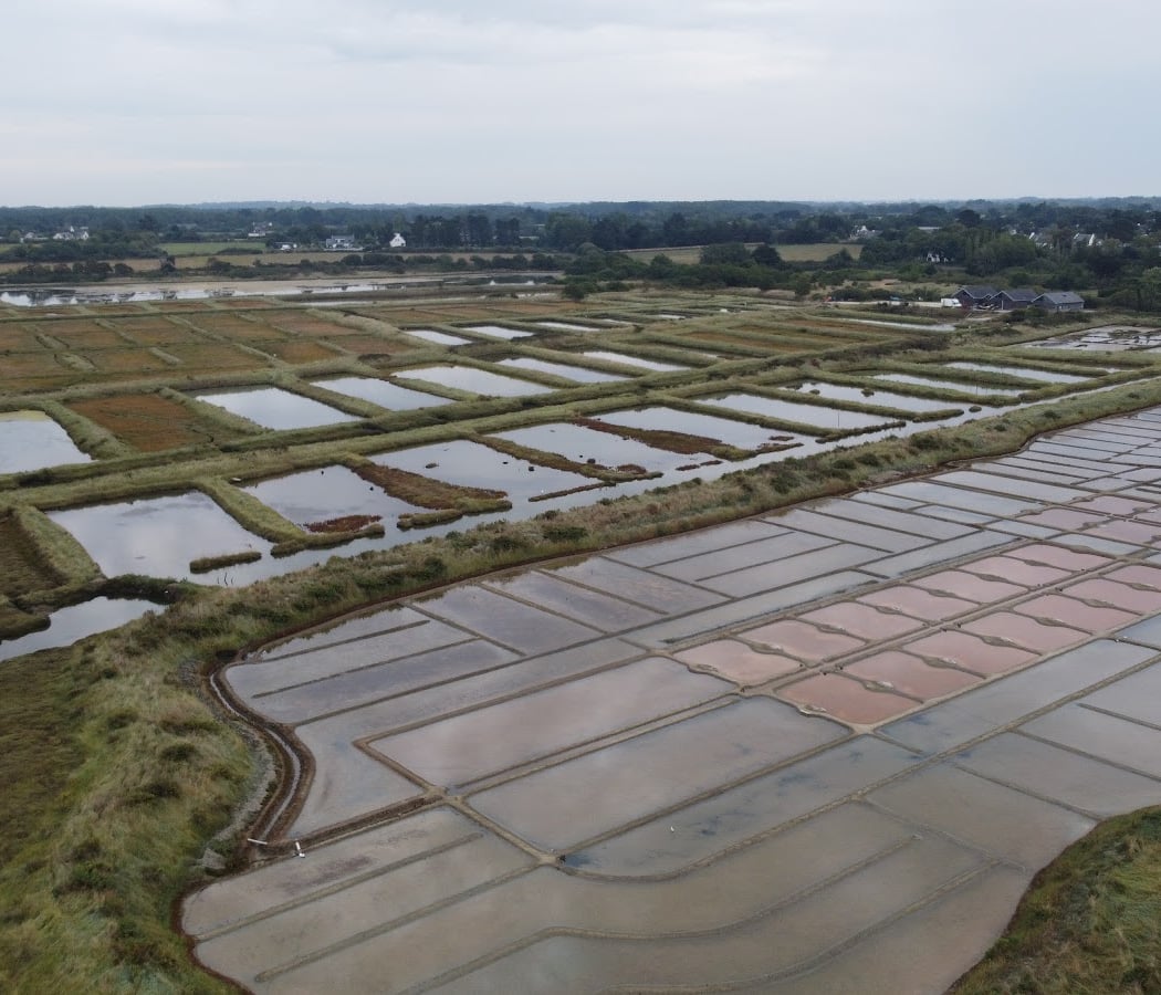 Salt marshes of Saint Armel 1