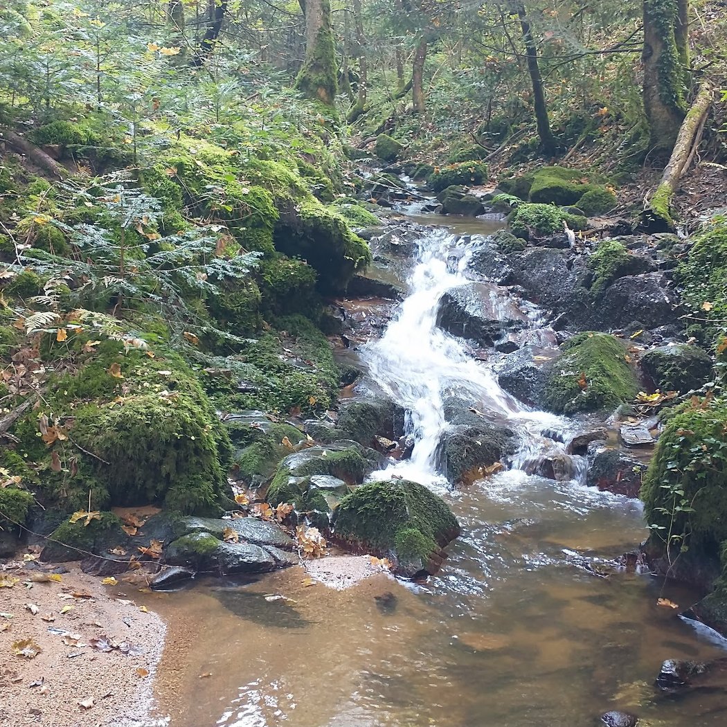 Gorges de Ceyrat 2