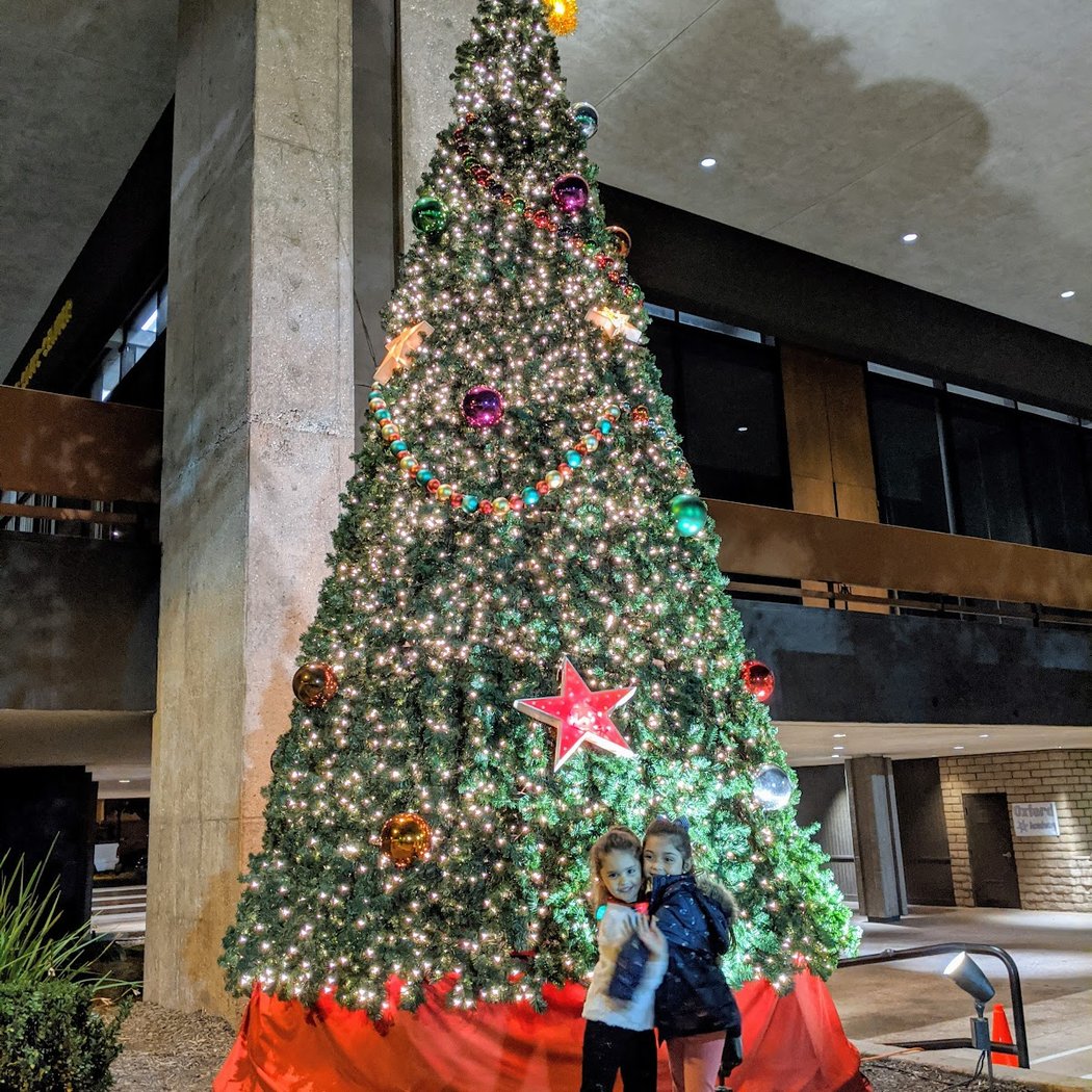 Cypress Civic Center 1