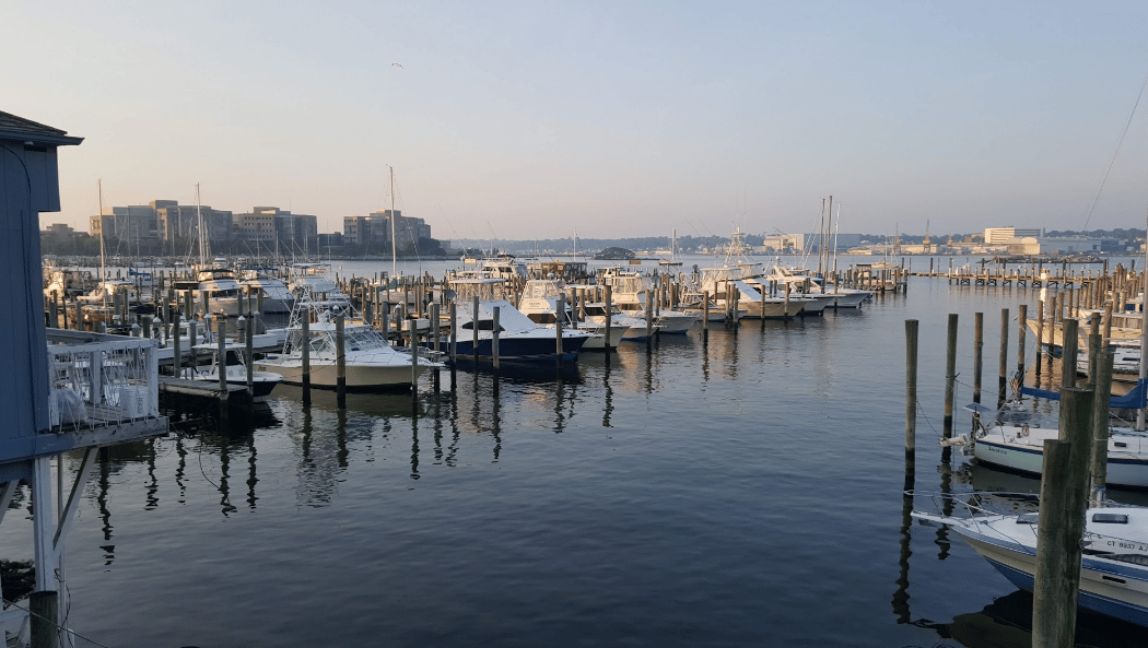 Hidden Gems & Fun Facts Walking Tour 5