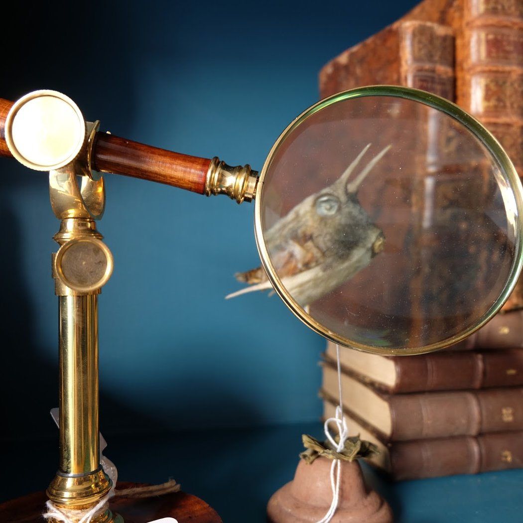 Curiositas 1
